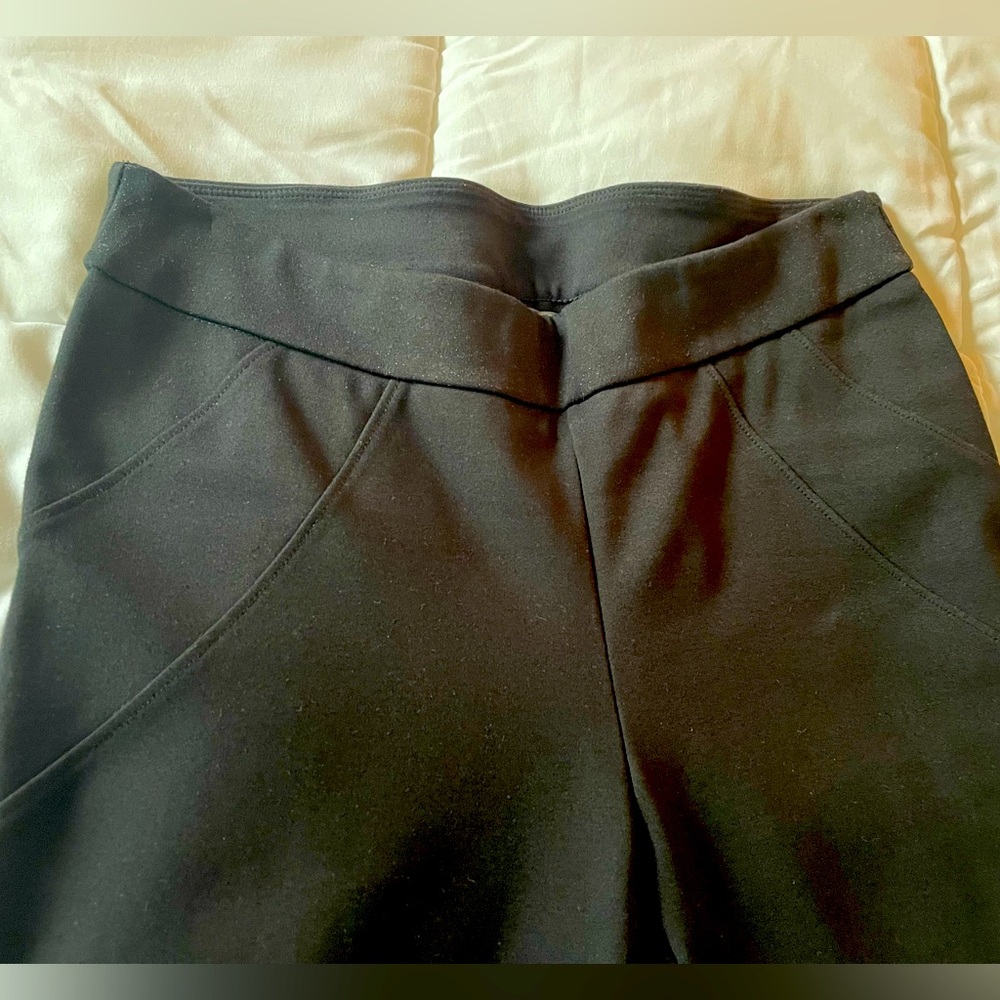 Vicinity ankle pants with slimming panels - large
